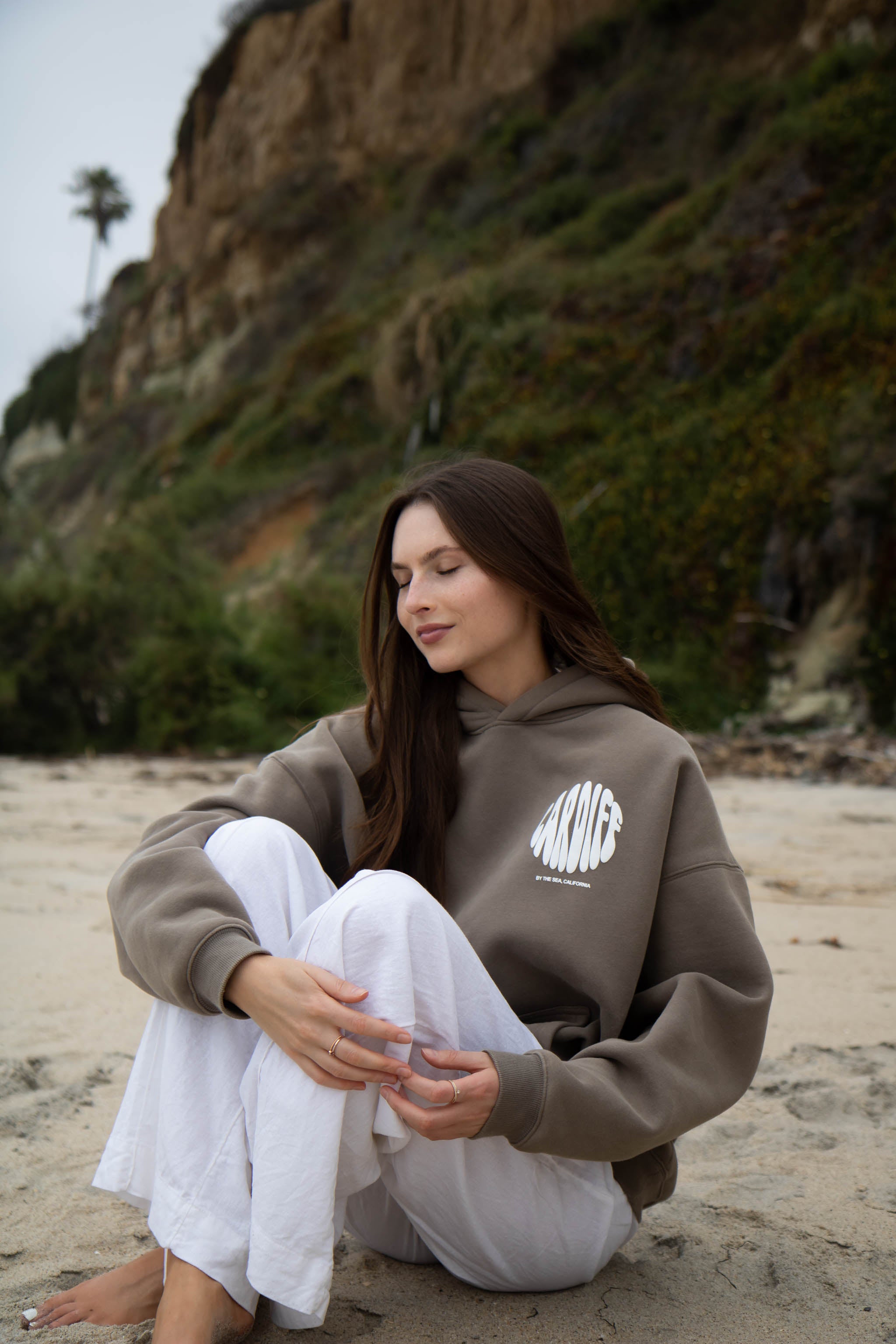 Cardiff-By-The-Sea Hoodie Fossil
