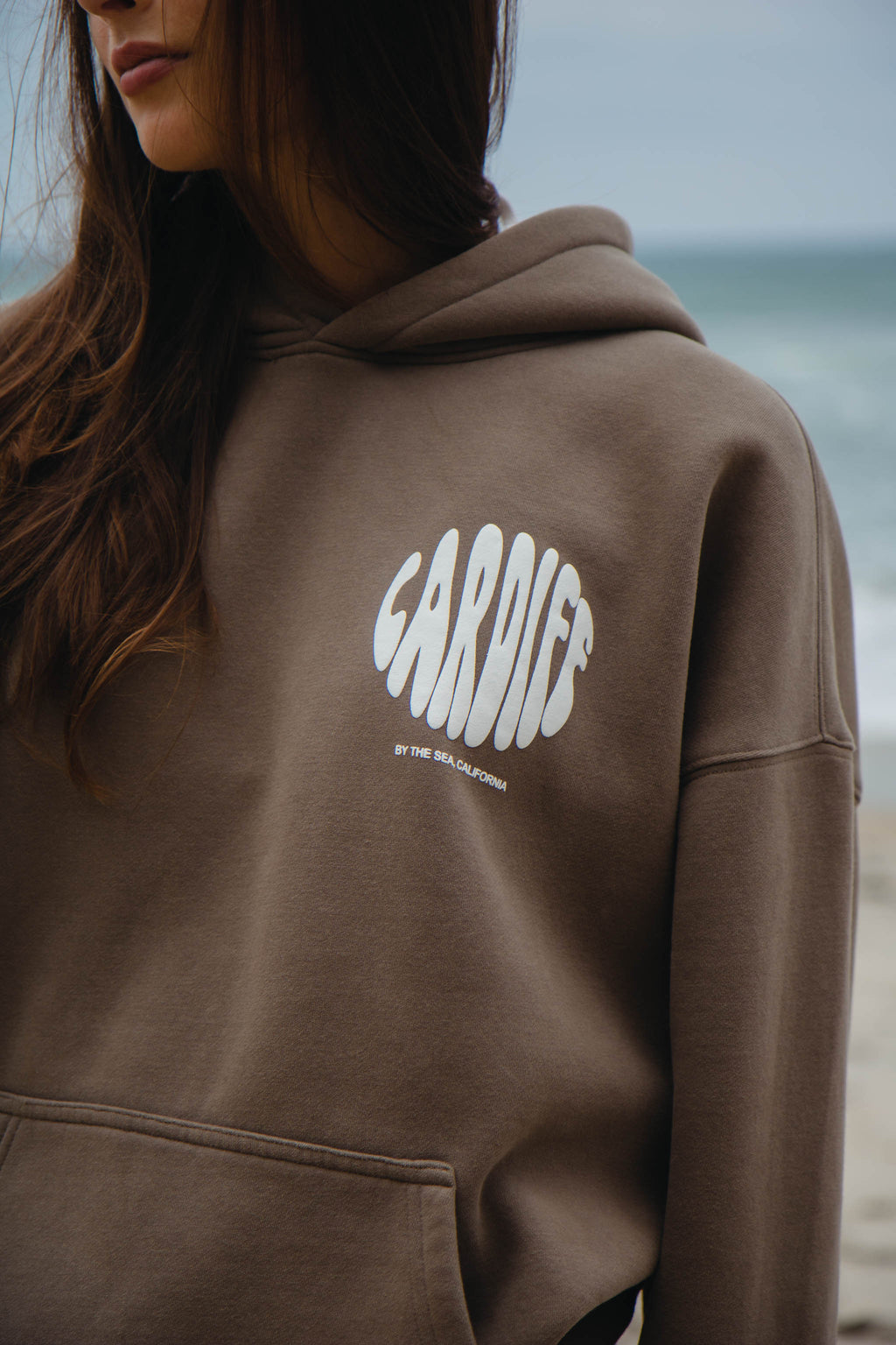 Cardiff-By-The-Sea Hoodie Fossil