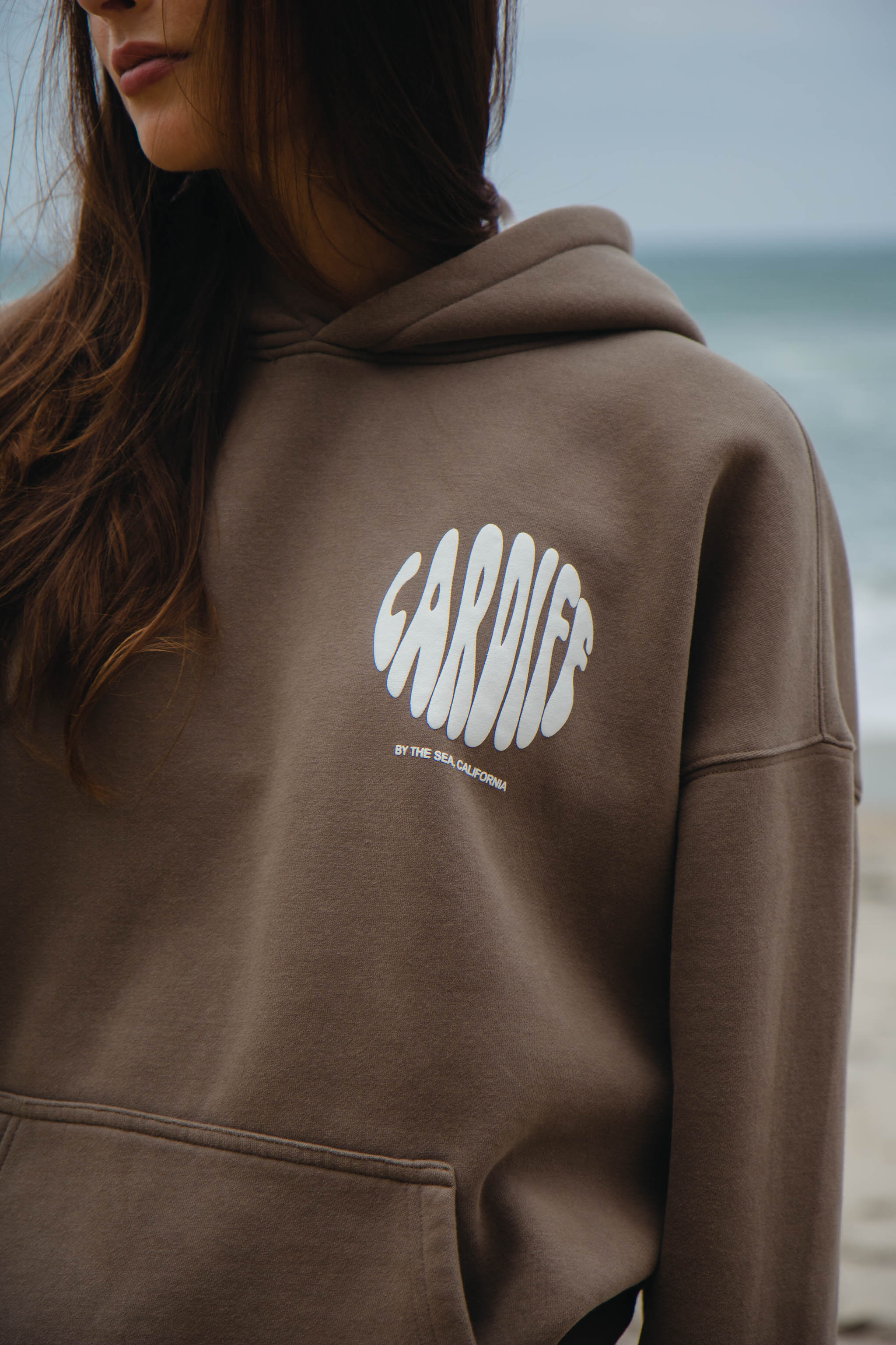 Cardiff-By-The-Sea Hoodie Fossil
