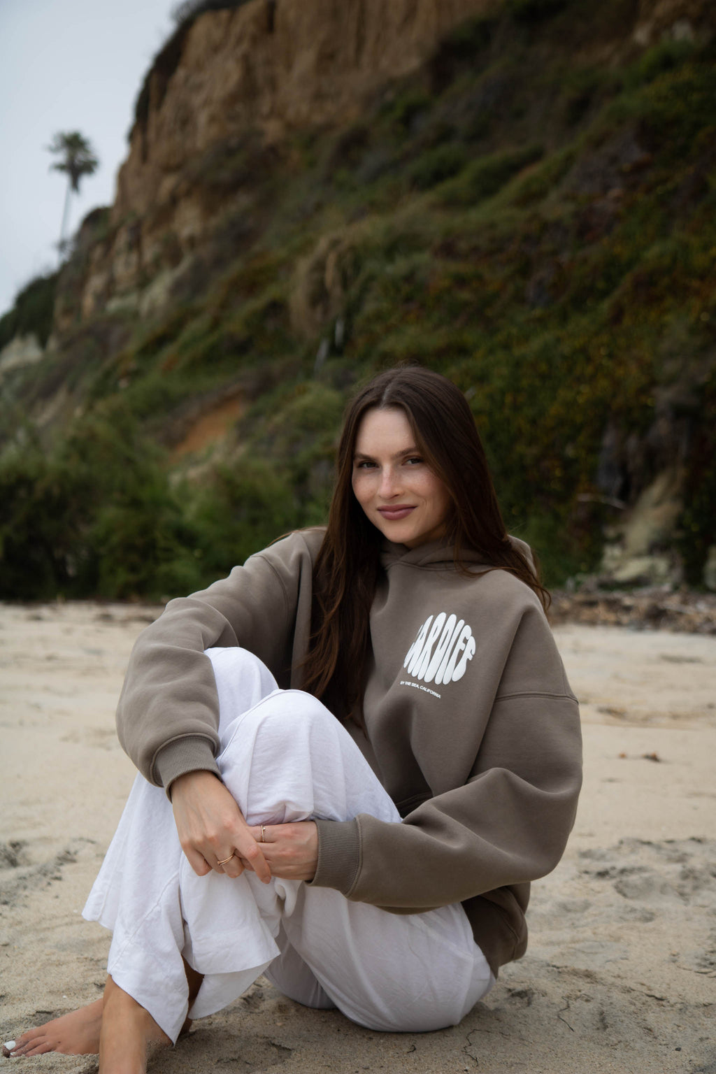 Cardiff-By-The-Sea Hoodie Fossil