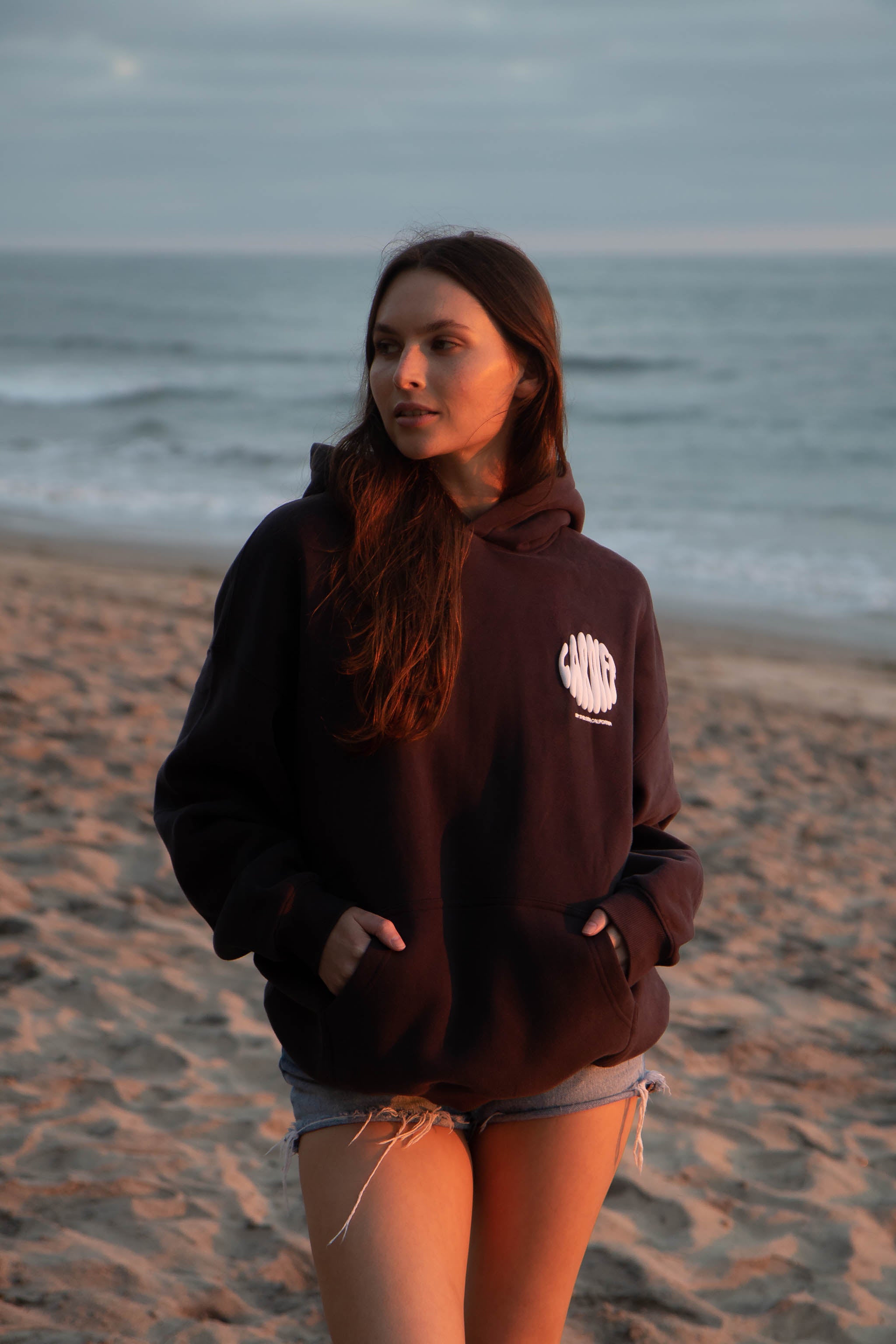 Cardiff-By-The-Sea Hoodie Black Charcoal