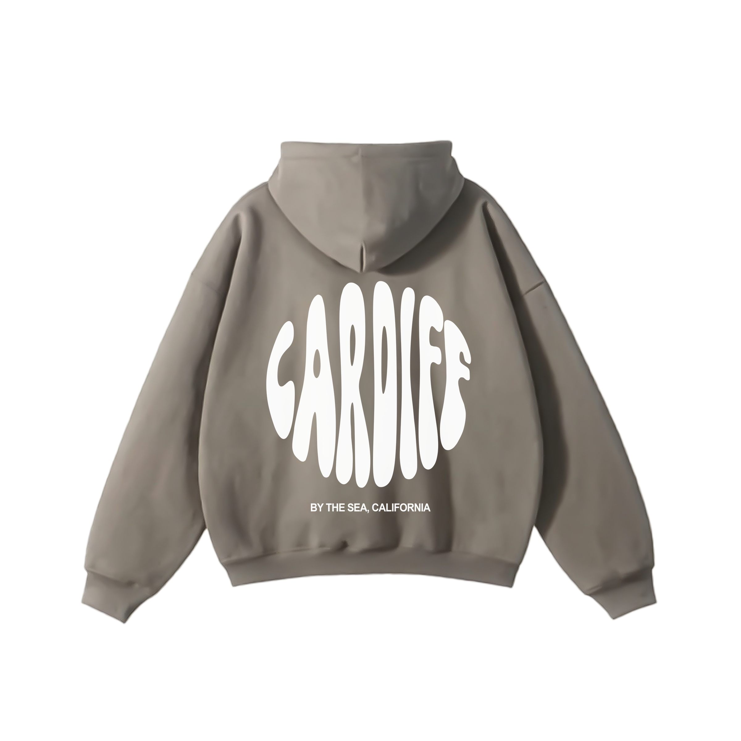 Cardiff-By-The-Sea Hoodie Fossil