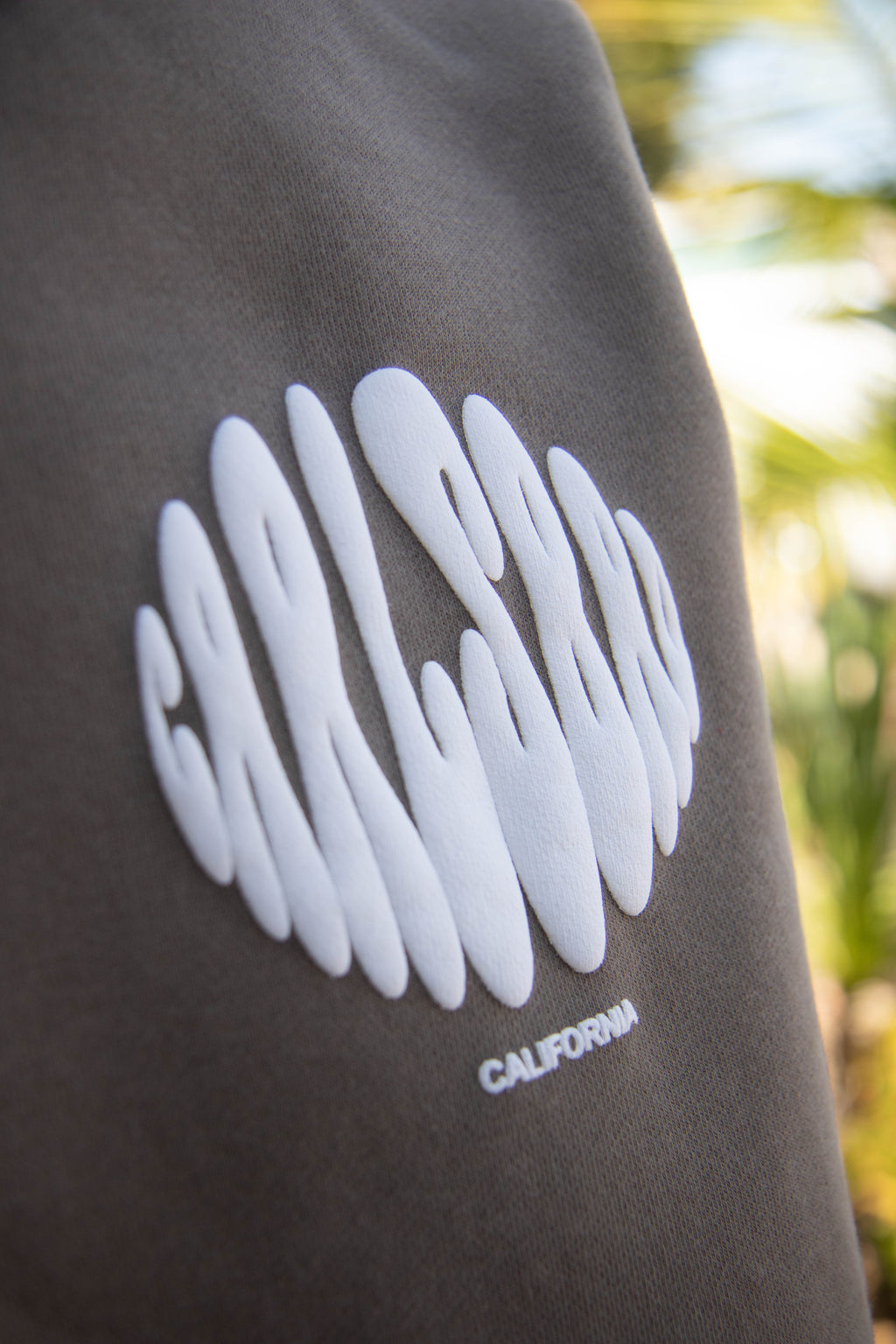 Carlsbad Hoodie Fossil