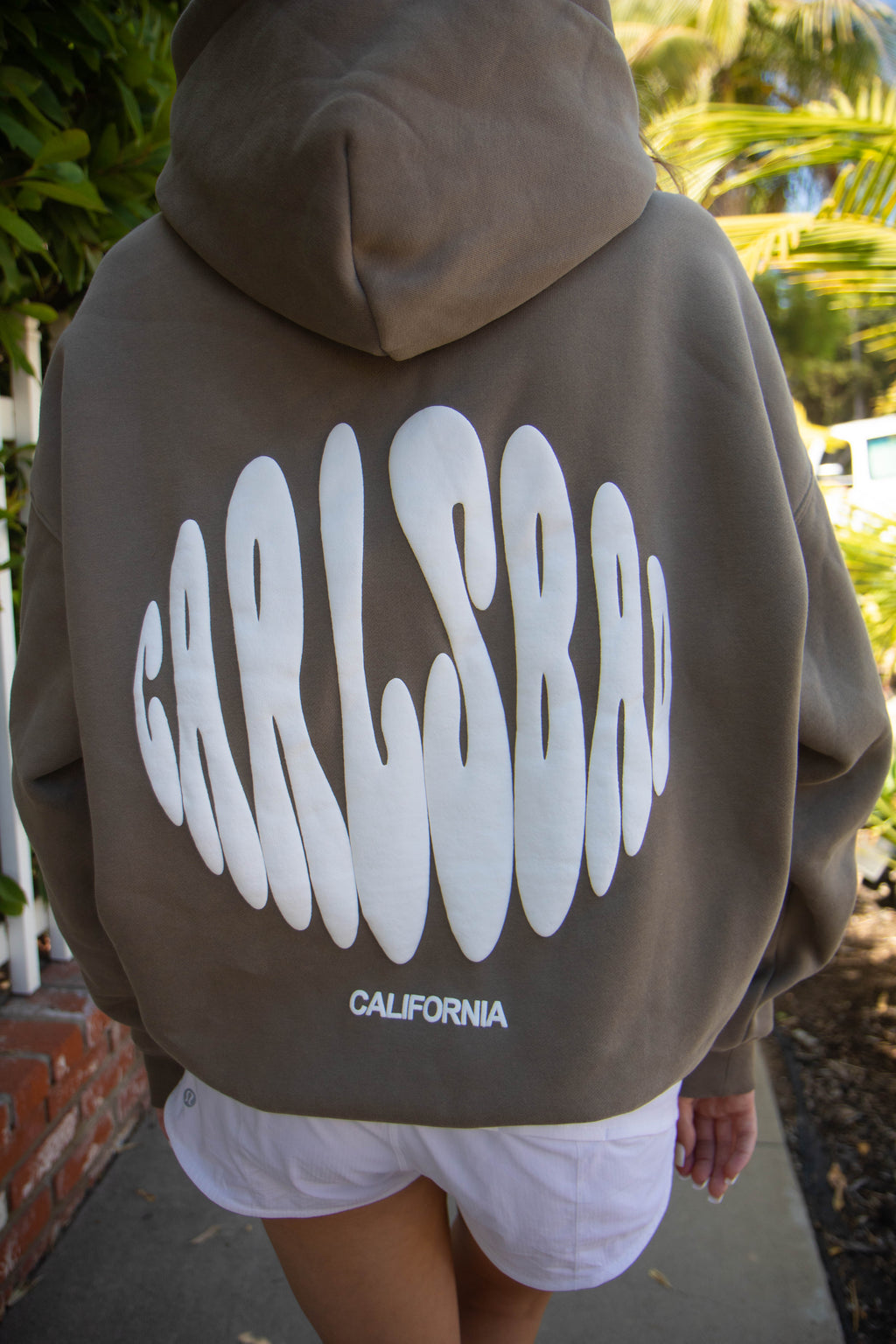 Carlsbad Hoodie Fossil