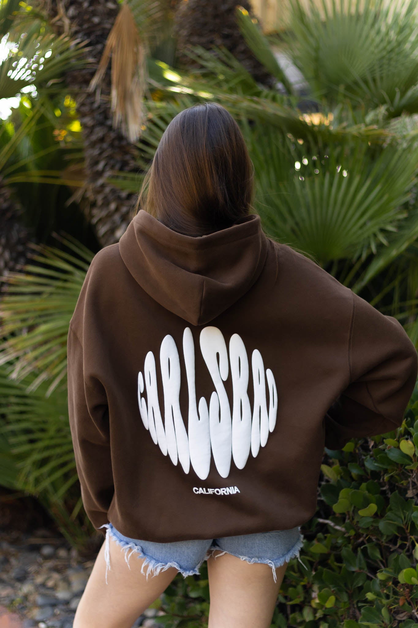 Coastal Origin Carlsbad Hoodie Coffee