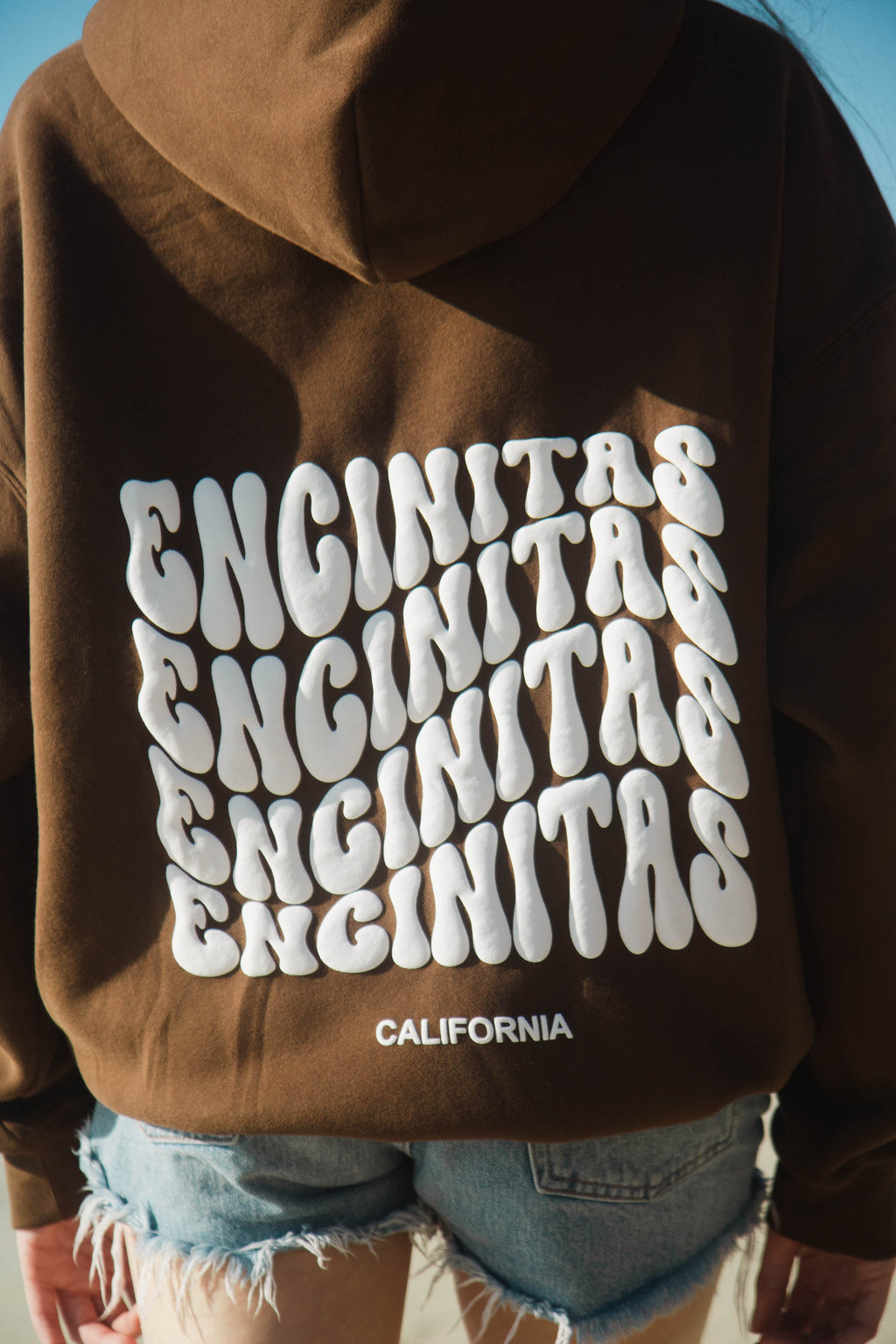 Coastal Origin Encinitas Hoodie Coffee