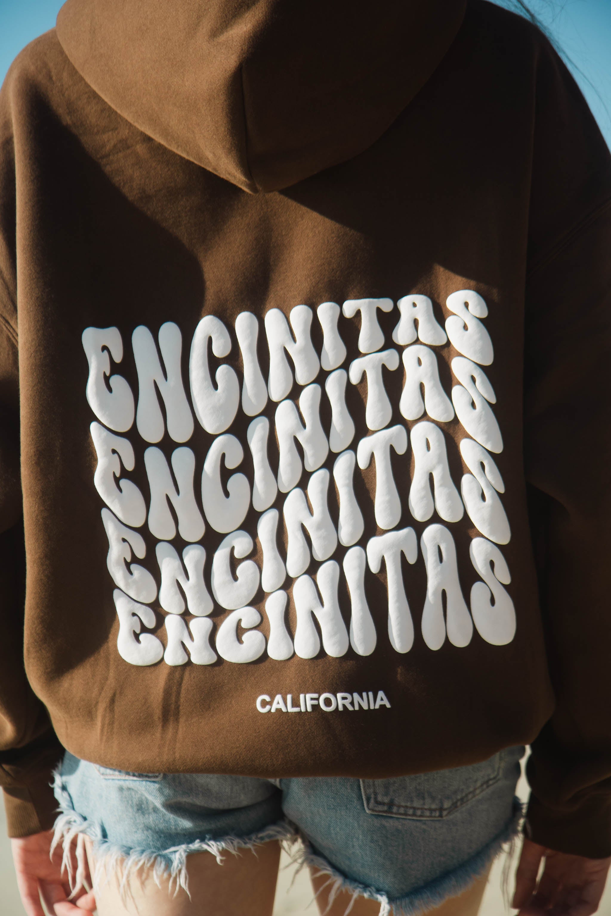 Coastal Origin Encinitas Hoodie Coffee