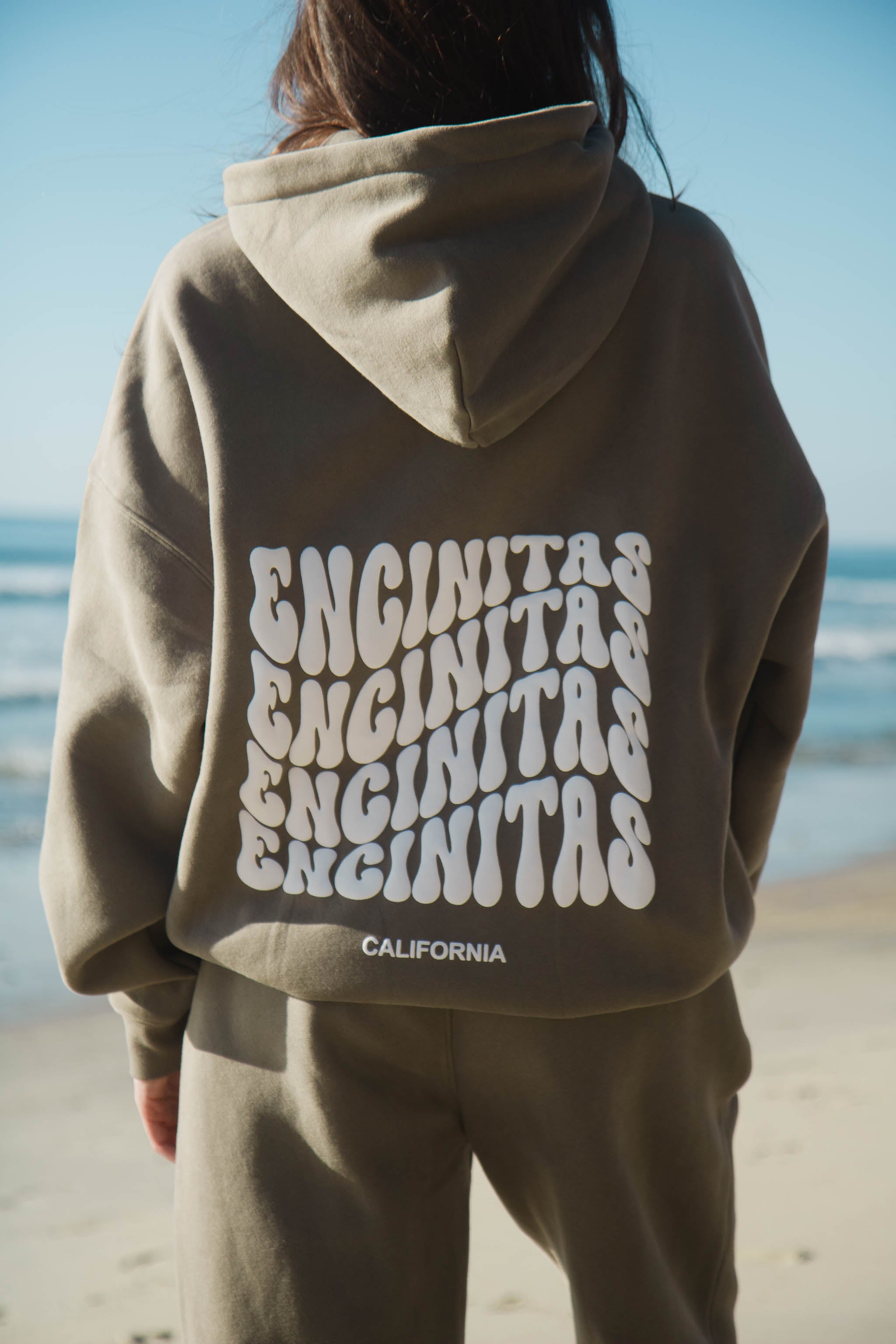 Coastal Origin Encinitas Hoodie Fossil