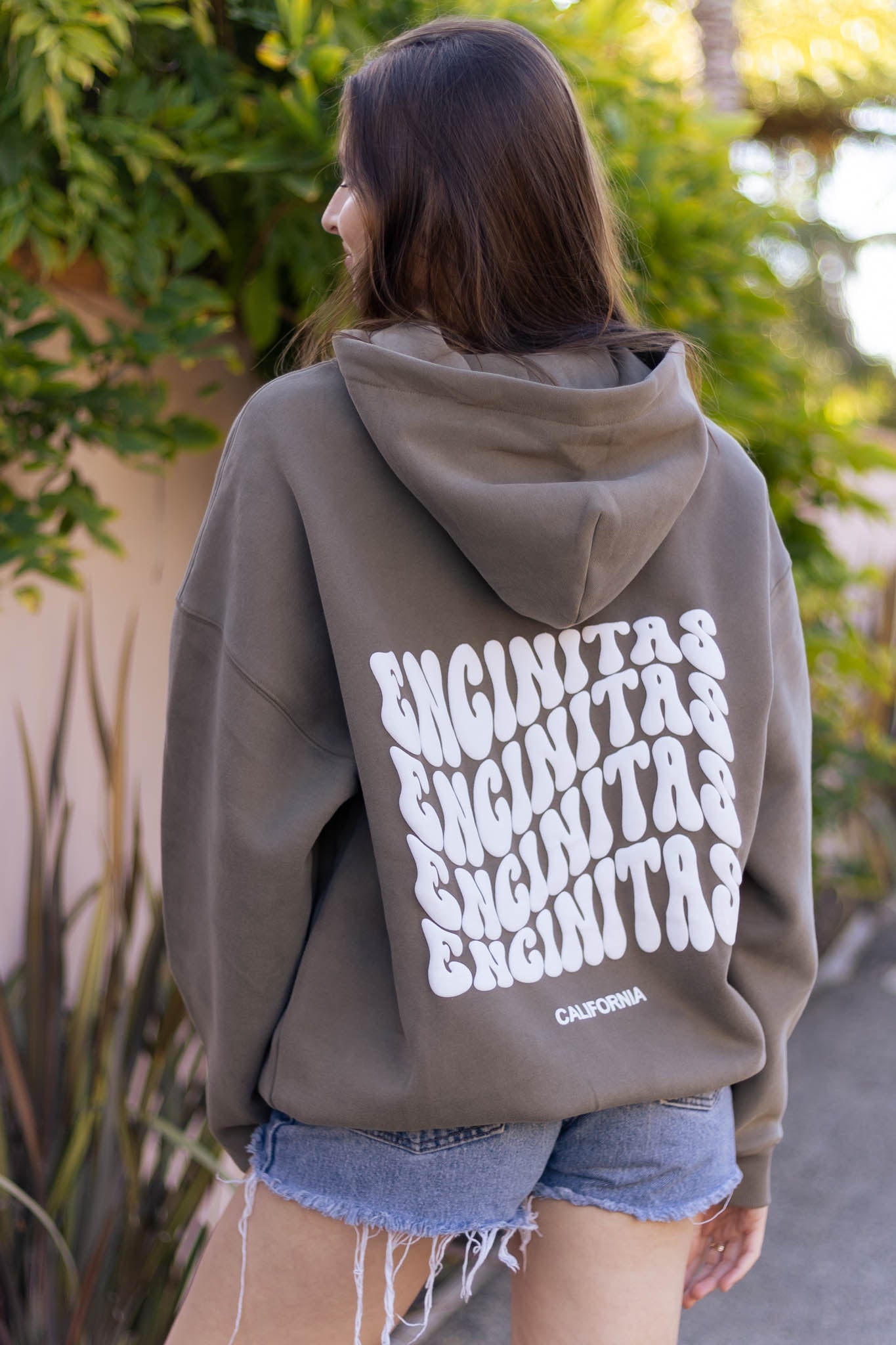 Coastal Origin Encinitas Hoodie Fossil