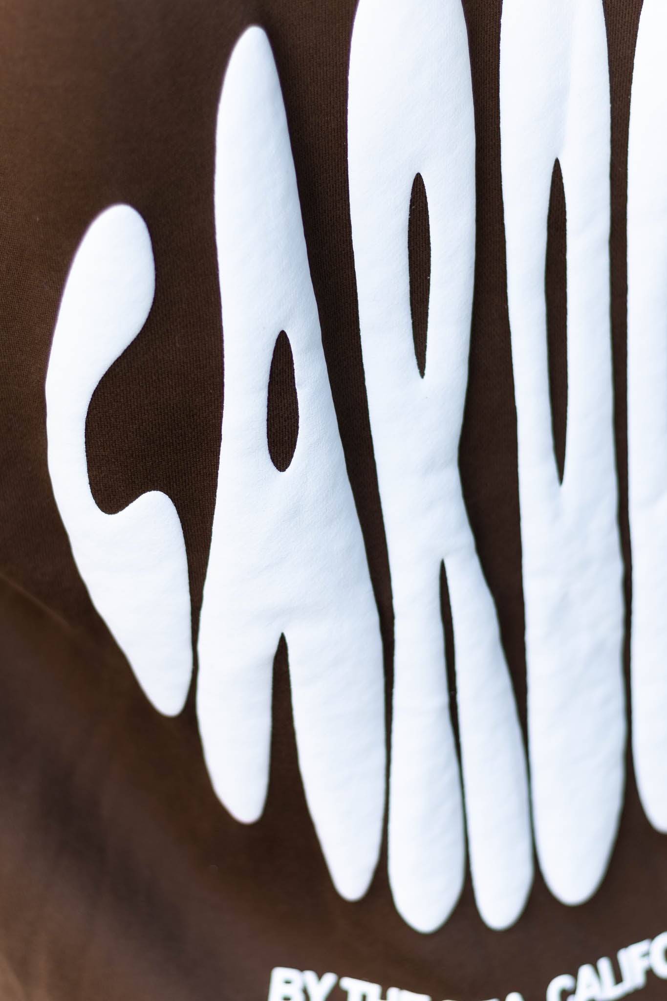 Cardiff-By-The-Sea Hoodie Coffee