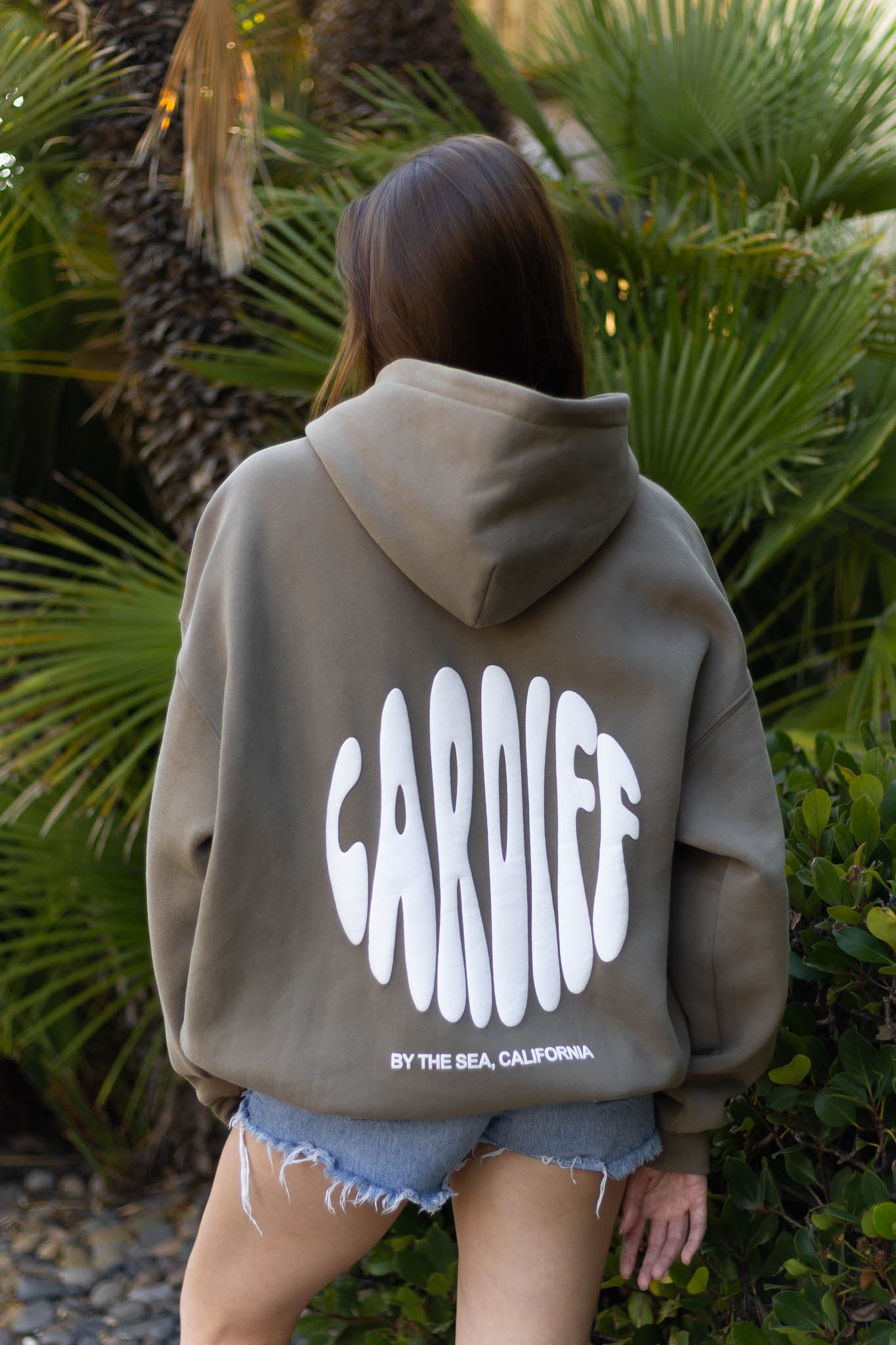 Cardiff-By-The-Sea Hoodie Fossil