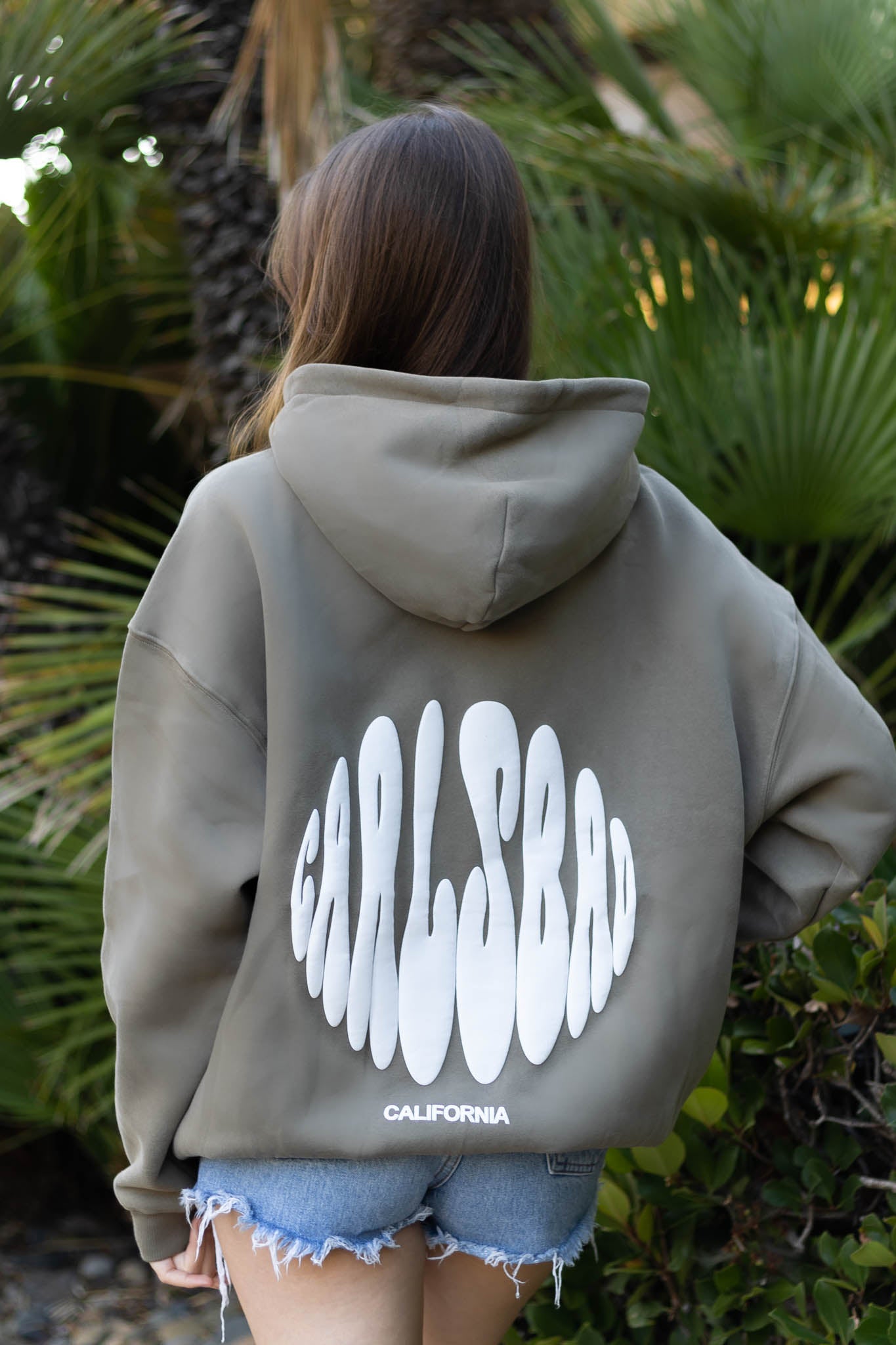 Carlsbad Hoodie Fossil